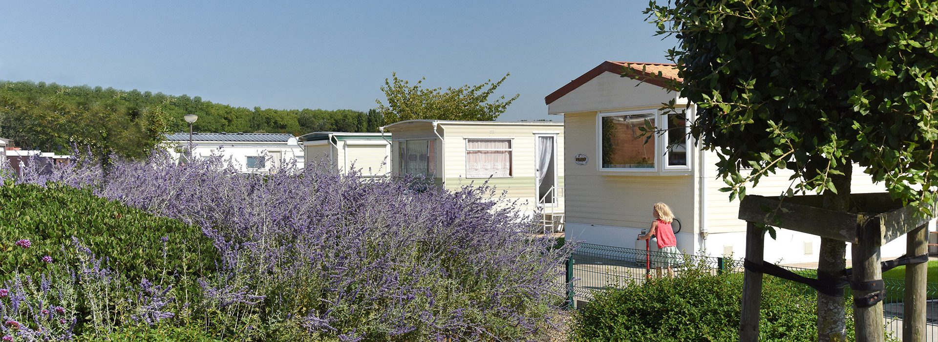 Campingplatz Tolmzant - Tolmzant