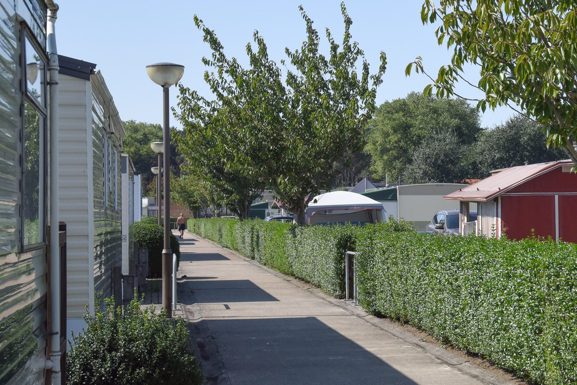 Parc de camping Tolmzant - Tolmzant