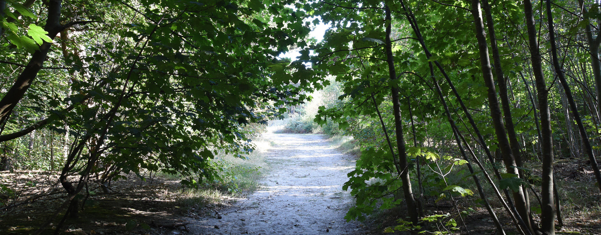 Kampeerverblijfpark Tolmzant - Tolmzant