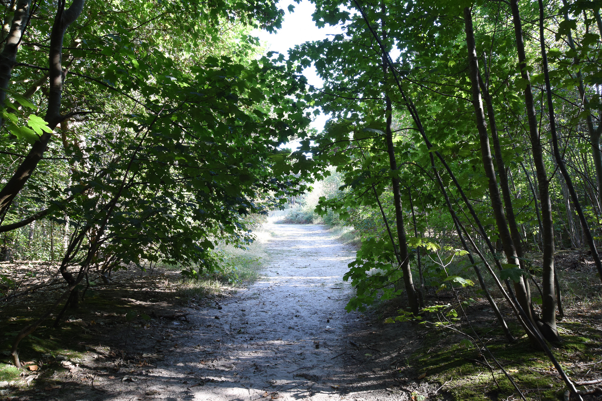 Freizeit - Tolmzant